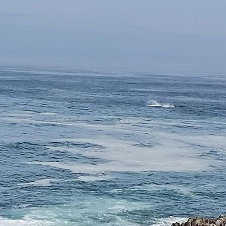 On The Rocks Guesthouse Gansbaai Extérieur photo